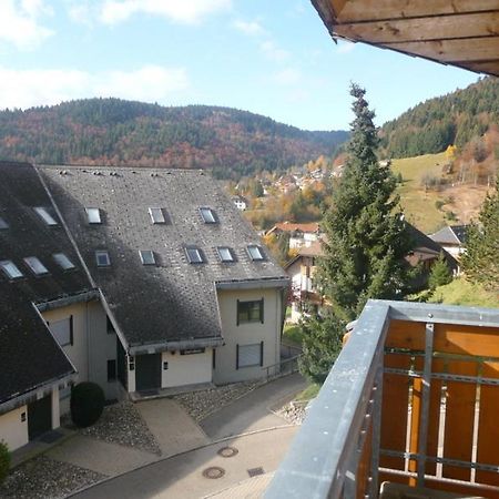 Haus Herzogenhorn - Hornberg Todtmoos Luaran gambar